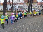 6364ff686e348.jpg